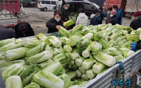 白菜正常价多少钱一斤