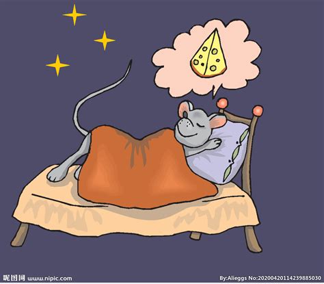 睡觉做梦梦到抓老鼠