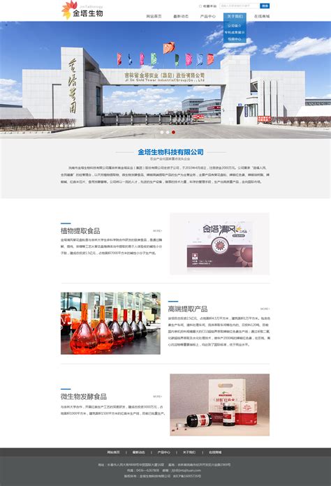 石家庄专业网站制作企业