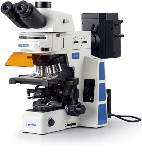 科研荧光电子显微镜价格