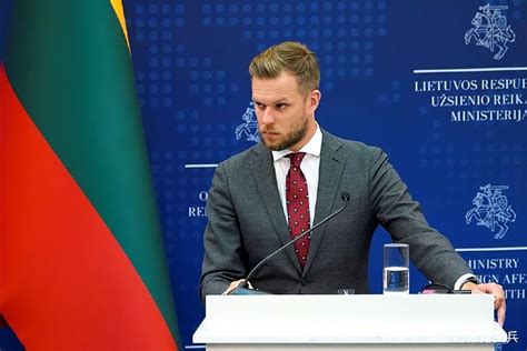 立陶宛访台后果