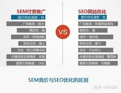 竞价排名和seo的优势分析图