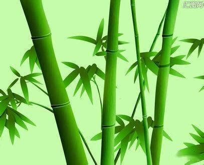竹子流水微信头像
