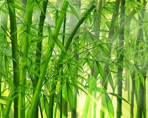 竹子高山流水微信壁纸