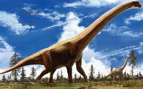 第一大的恐龙