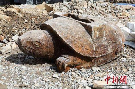 简阳工地挖出巨型石龟
