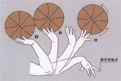 篮球投篮技术要领和训练方法图解