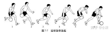 篮球的基本动作有哪四种