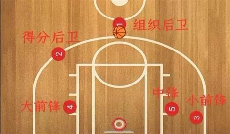 篮球1到5号位站位图