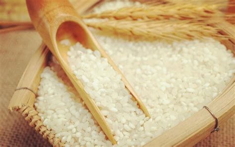 米业的发展前景和思路
