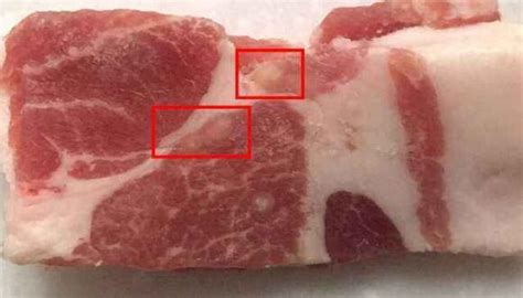米猪肉和猪肉脂肪粒区别图