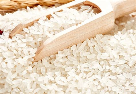 粳米与普通大米的区别