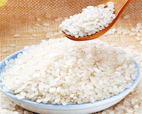 粳米是不是杂粮米