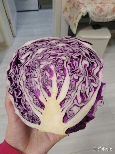 紫色大头菜做法大全