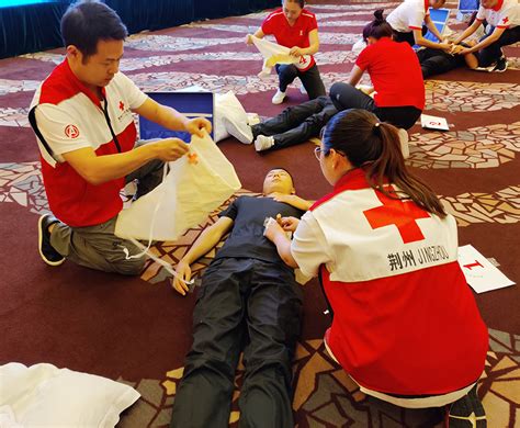 红十字会急救培训视频