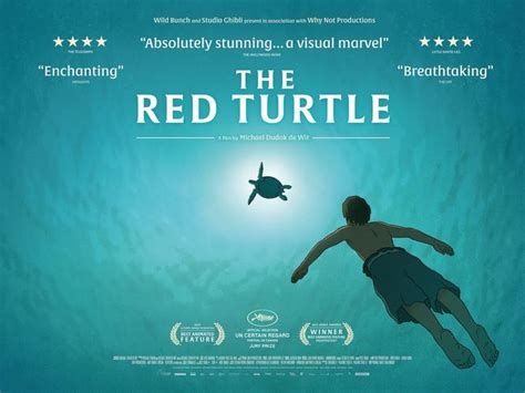 红海龟动画片