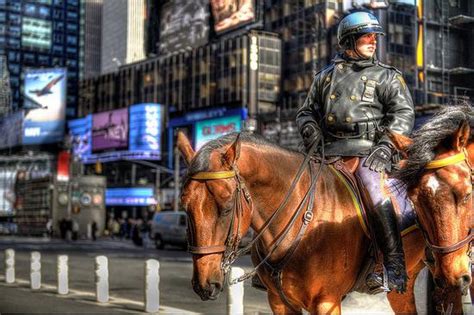 纽约市骑警