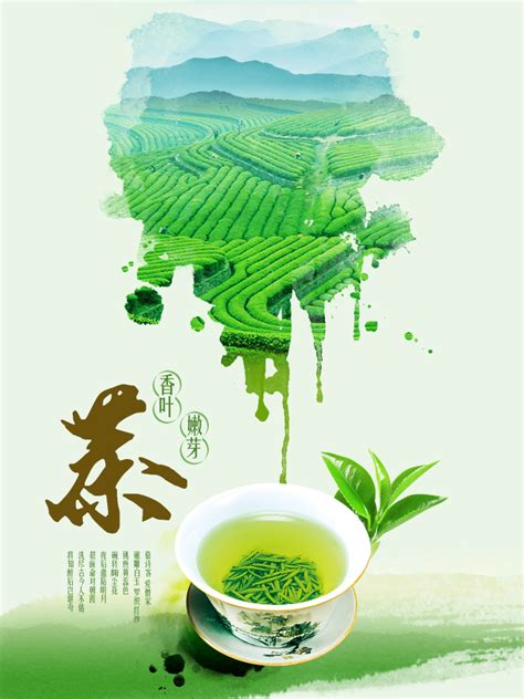 绿茶网络营销报告