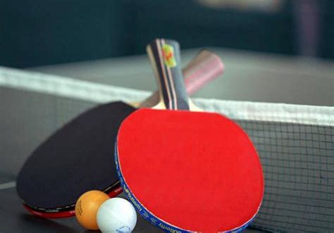 网球和乒乓球哪个比较容易学