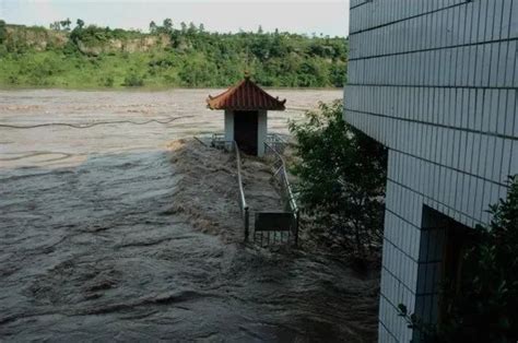 罗渡镇洪水水位图