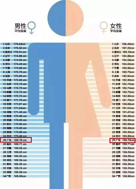 美国人平均身高体重