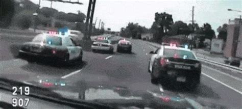 美国警察追车警察身亡