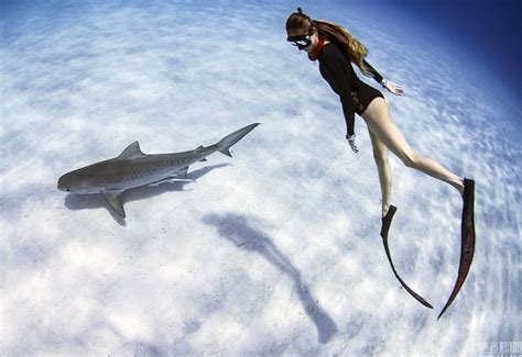 美女与鲨鱼一起游泳
