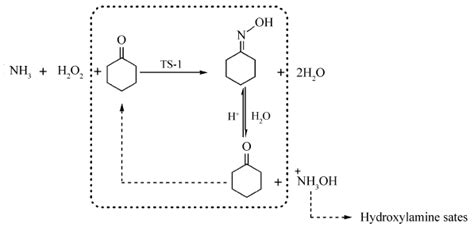 羟胺与环己酮的反应历程