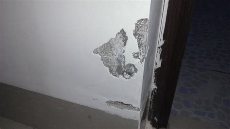 老房室内掉墙皮怎么改造