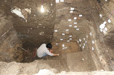 考古学家为什么最害怕挖到鸡蛋