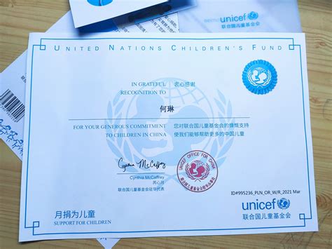 联合国儿童基金证书