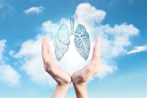 肺对于养生的重要性