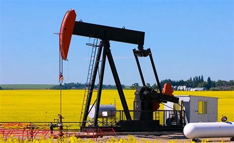 胜利油田的油是什么油