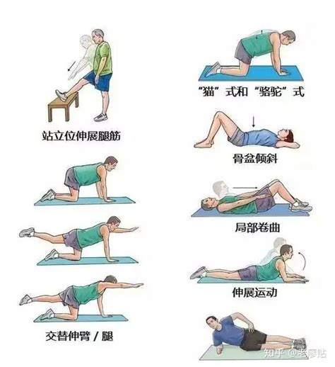 腰肌劳损锻炼方法图解