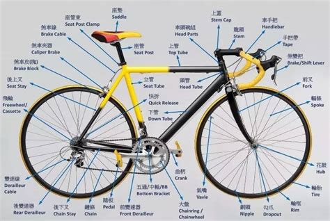 自行车英语bike和bicycle区别