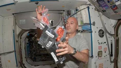 航天员在太空吃的蔬菜哪里来