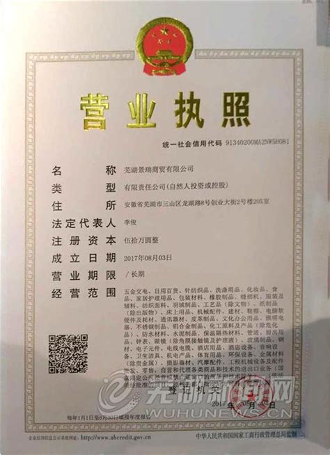 芜湖市营业执照网申请入口