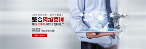 芜湖网站优化技术平台开发