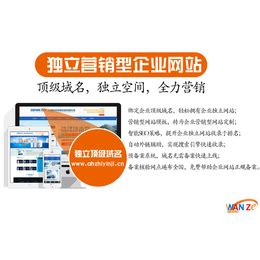 芜湖网络营销公司