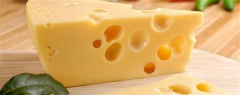 芝士和奶酪有什么区别