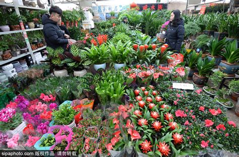 花卉市场起名大全