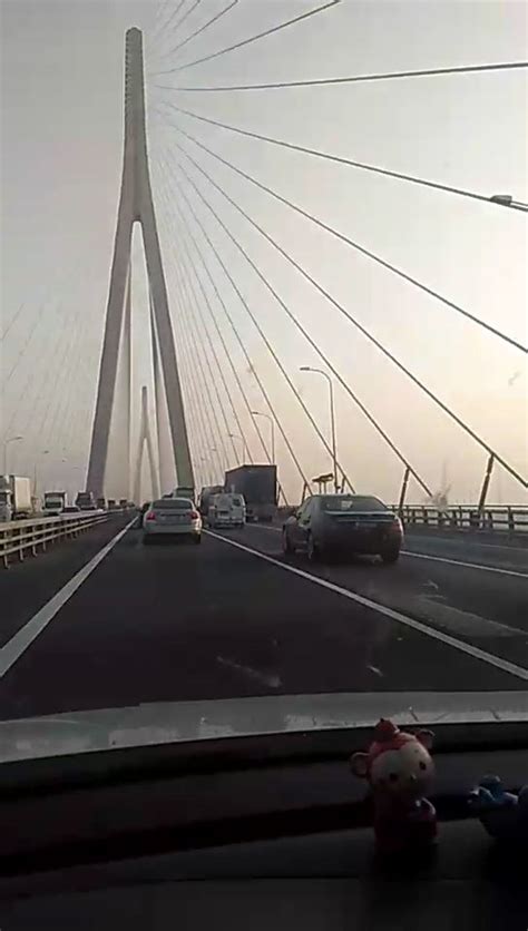 苏通大桥为什么老是堵车