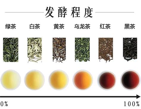 茶叶一共有多少种