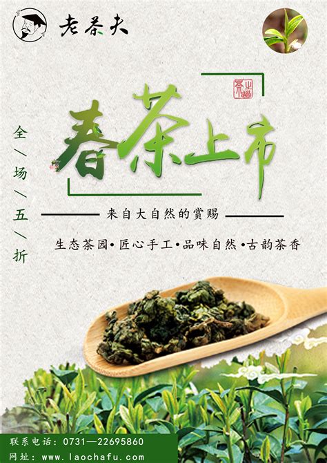 茶叶品牌推广策划公司