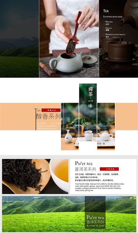 茶叶网络营销方案百度文案