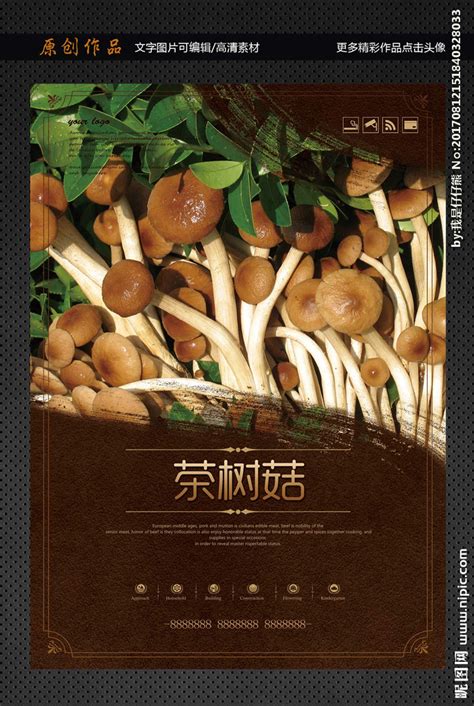茶树菇广告词