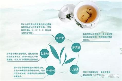 茶的营养保健作用