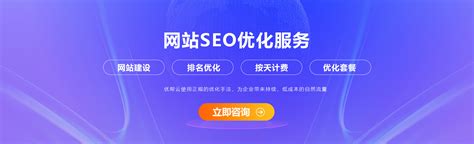 荆州网络推广商家排名优化