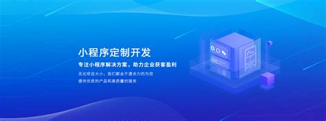 荆州网络软件开发多少钱