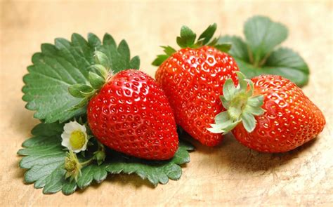 草莓不能种了吗